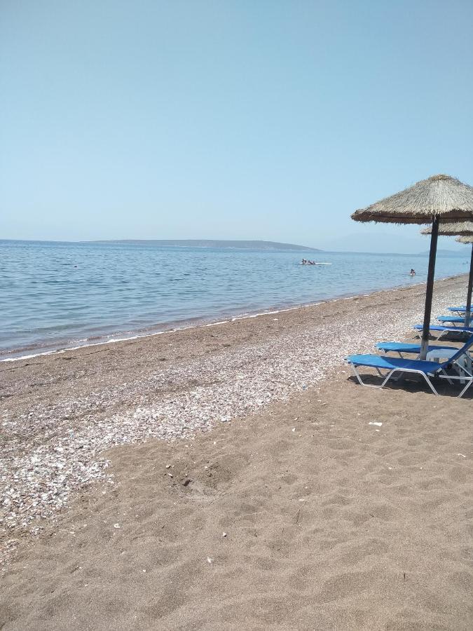 Πενυ Καντια 1Ος Ν 4 Lejlighed Candia Eksteriør billede